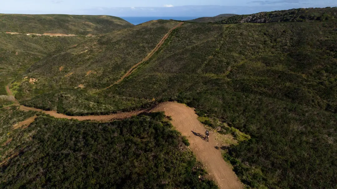 CSBikes Gravel Bike: G14r